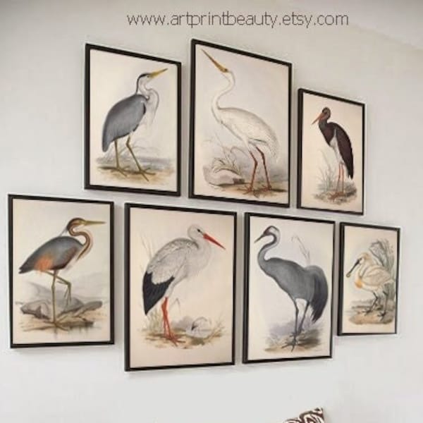 Heron Print Etsy