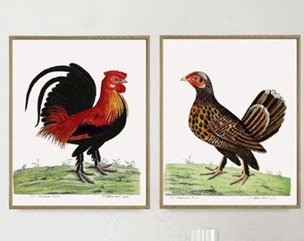 Birds Print Set, Kitchen Poster, Rooster and Chicken, Wall Art Decor, Bird Vintage Illustration print set of 2