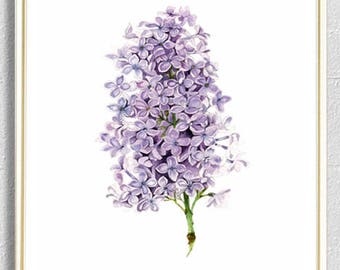Watercolor Lilac Flower Wall Art Print - Lilac Painting Print -  Flower Illustration -  Botanical Art - Livingroom Decor - Kitchen Wall Art