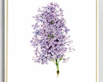 Aquarelle Fleur de lilas Impression Murale d’Art - Impression de Peinture Lilas - Illustration de Fleurs - Art Botanique - Décor de Salon - Art Mural de Cuisine