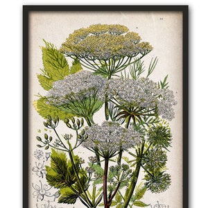 Flowers Print Botanical Wall Art Decor, Herbal Poster, Wild Flowers Large Scale Print
