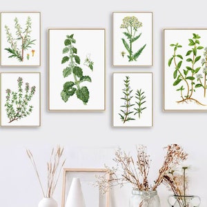 Green Plant Print - Plant Wall Art Print - Botanical Illustration - Botanical Print - Plant Painting Print - Set of 6 - Living Room Decor