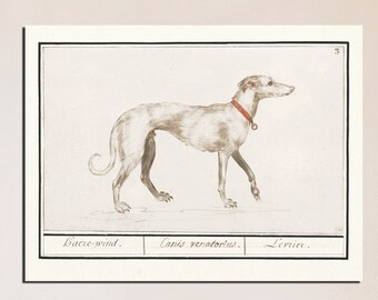 Impresión de perro, pintura de perro, impresión de boceto de galgo, beige horizontal