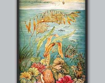 Adolphe Millot - Papillons A - French vintage poster Art Print for