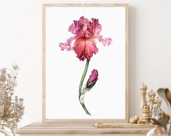 Iris flower print iris watercolor flowers wall art print flowers frame poster iris wall art botanical print watercolor art red pink green