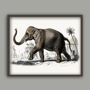 Elephant Print, Animal Wall Decor, Elephant Picture, Home Decor, Antique Animal Art image 1