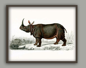 Rhinoceros Print  Rhinoceros Decor Rhinoceros Illustration 1846