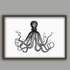 Octopus print antique wall art decor sea animals print marine print ocean life poster black and white minimalist home decor