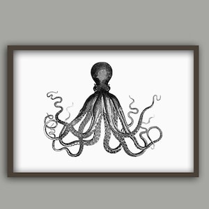 Octopus Print Octopus Poster Black and White Minimalist Home Decor Bathroom Poster Horizontal