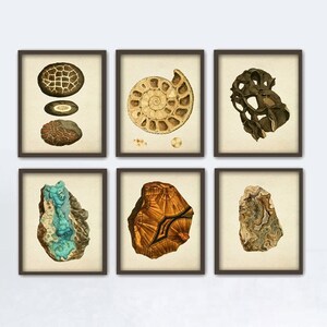 May include: Set of six vintage botanical illustrations featuring various types of rocks and minerals. The illustrations are in a muted color palette of browns, greens, and blues, and are framed in brown wood frames.