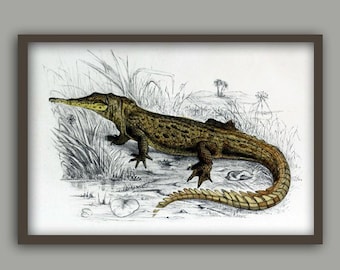 Alligator Print Krokodil Tiere Gemälde Druck Raubtier Dekor Krokodil Bild, Alligator Wand Kunst Reptil Kunst Poster