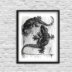 Lizards Wall Art Print, Home Decor, Animal Print, Antique Vintage Geckos Illustration, Zoology, Biology