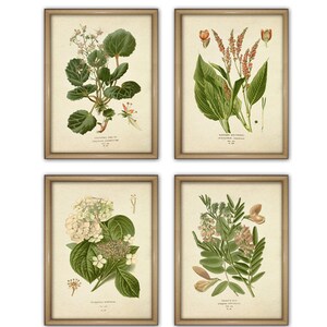 Set of 4 Plant Decoration Posters And Prints Wall Art Painting Wall Pictures For Living Room Green Decor