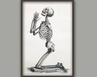 Human Skeleton Print - Anatomy Skeleton Picture - Medical Art - Medical Student Gift - Vintage Skeleton -Art-619