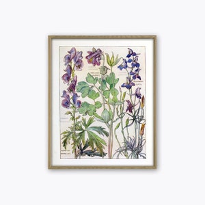 Bloemenprint, bloem muur kunst decor, botanische print, geneeskrachtige planten print, kruidkundige muur decor, kruidkundige cadeau, decor kruidkunde