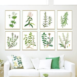 Botanical Print Set, Plant Print, Botanical Wall Art Decor, Botanical Watercolor Paintings Print, Home Wall Galley