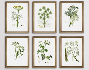 Botanische print set, botanische muur kunst decor, botanische set van 6, grote muur kunst decor, groene plant illustratie set
