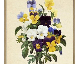 Pansy Vintage Flower Art Print Antique Wall Art Flower Wall Art Botanical Prints Garden Print French Wall Art Cottage Wall Decor