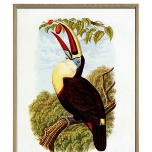 Toucan Bird Print, Bird Poster, Bird Wall Art Decor, Tropical bird and Landscape