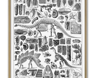 Dinosaur Skeleton Poster Paleontology Science Print Anatomy Wall Decor