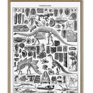 Dinosaur Skeleton Poster Paleontology Science Print Anatomy Wall Decor