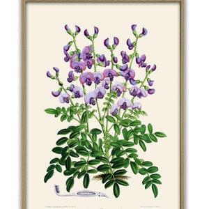 Flower Print, Botanical Art Decor, Flower Poster, Blue Green
