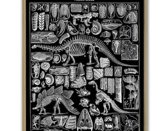 Paleontology Poster Dinosaur Skeleton Print Anatomy Science Wall Decor Office