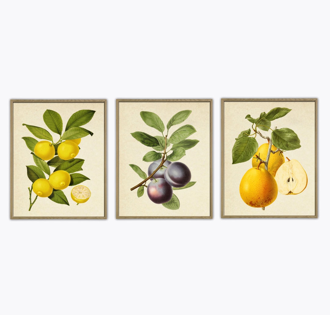 Fruit Print, Botanical Wall Art Print , Kitchen Wall Decor, Fruit Tree