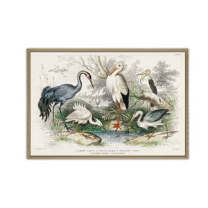 Bird Poster Print, Bird Large Scale Wall Art Decor, Bird Illustration, Living Room Decor
