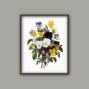 K&ouml;nnte beinhalten: Eine Vintage-botanische Illustration eines Strau&szlig;es aus violetten, gelben und wei&szlig;en Stiefm&uuml;tterchen.