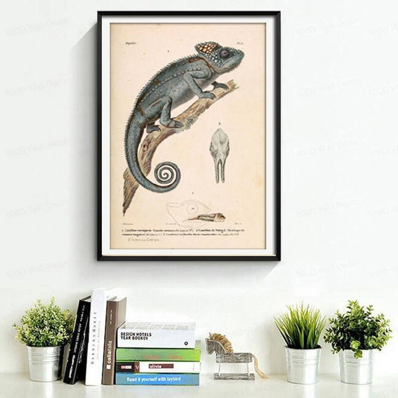 Chameleon Print Animal Wall Decor Lizard Reptile Tropical Animal Large Wall Art Decor Grey image 3