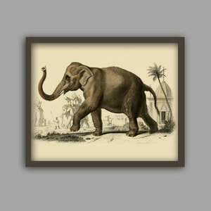 Elephant Print, Animal Wall Decor, Elephant Picture, Home Decor, Antique Animal Art image 2