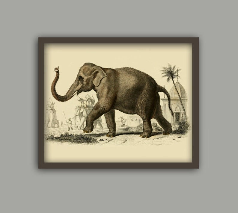 Elephant Print, Animal Wall Decor, Elephant Picture, Home Decor, Antique Animal Art image 2