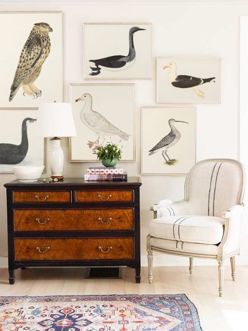 Wild Birds Print Home Gallery Wall Art Decor Large Scale Print - Etsy