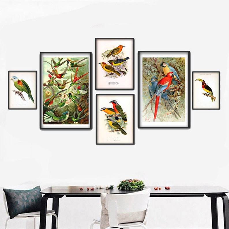Birds Print Set of 6 Tropical Birds Gallery Bird Wall Art Etsy