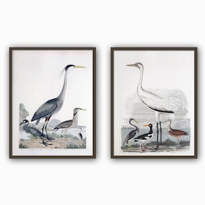 Birds Print Set of 2,  Bird Picture, Heron and Crane Picture, Large Wall Art Decor Art-782