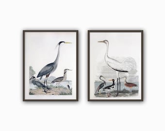 Birds Print Set of 2,  Bird Picture, Heron and Crane Picture, Large Wall Art Decor Art-782