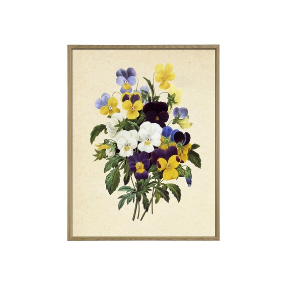 Pansy Print, Vintage Flower Art Print Antique Wall Art Flower Wall Art Botanical Prints Garden Print French Wall Art Cottage Wall Decor