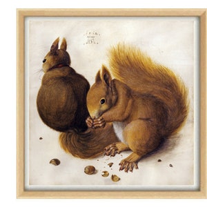 Two Squirrels by Albrecht Durer -Vintage Painting Print Art-995