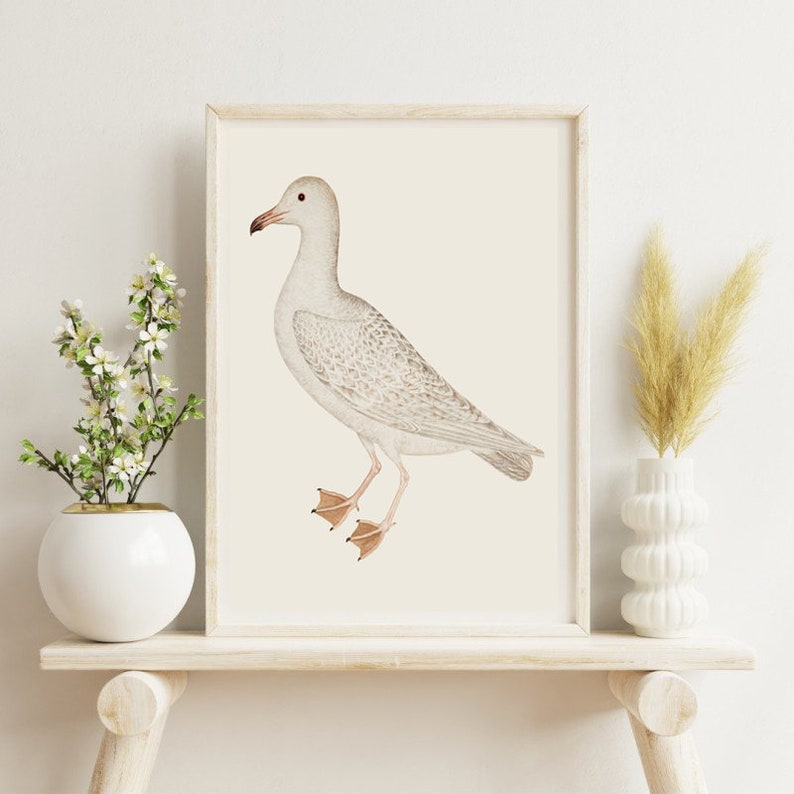 May include: A white framed print of a watercolour illustration of a white seagull with a light grey pattern on its wings. The seagull is facing left and has its wings slightly spread. The background is a light beige colour.