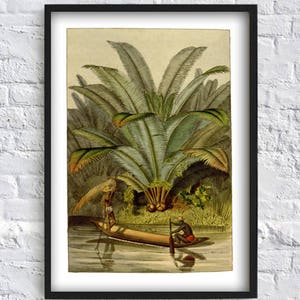 Palm Print Botanical Home Decor African Plant Wall Art Palm Leaf Art Boat Print Wall Art Print Home Decor Botanical Poster image 1