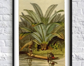 Palm Print - Botanical Home Decor - African Plant Wall Art - Palm Leaf Art - Boat Print - Wall Art Print - Home Decor - Botanical Poster