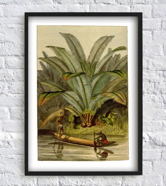 Palm Print - Botanical Home Decor - African Plant Wall Art - Palm Leaf Art - Boat Print - Wall Art Print - Home Decor - Botanical Poster