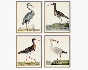 Conjunto de 4 estampas de pássaros, decoração de parede de pássaro colhereiro, arte de parede grande, parede de galeria
