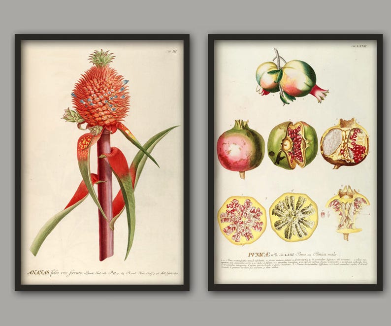set of 2 kitchen prints | kitchen wall art, fruit wall... Set of 2 Fruit Print, Kitchen Wall Art Decor, Pineapple and Pomegranate ...