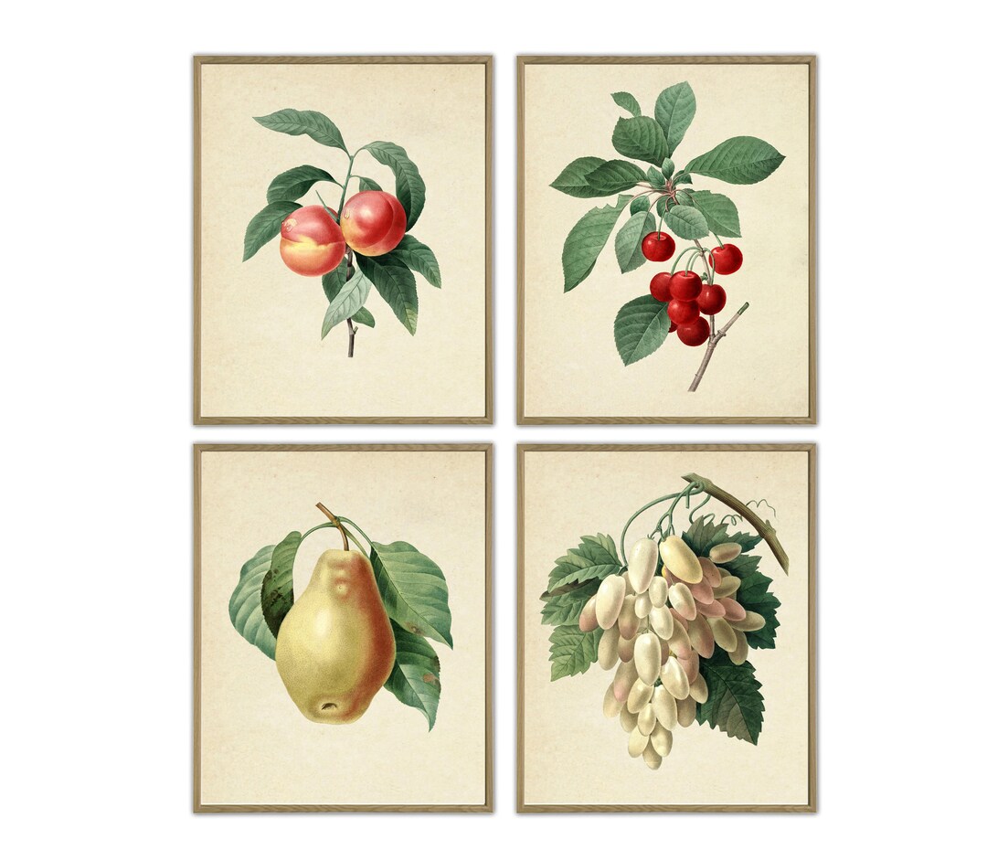 Fruit Print, Kitchen Wall Decor, Fruit Botanical Prints Set of 4 Etsy