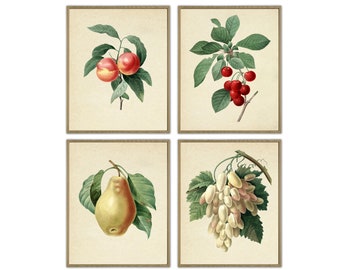 Fruit Print, Kitchen Wall Decor, Fruit Botanical Prints Set of 4