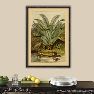 Palm Print Botanical Home Decor African Plant Wall Art Palm Leaf Art Boat Print Wall Art Print Home Decor Botanical Poster image 2