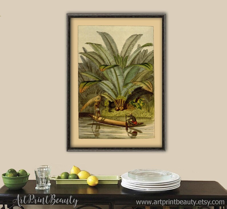 May include: A vintage botanical illustration of a palm tree with two people in a canoe on a river. The image is framed in a dark wood frame.