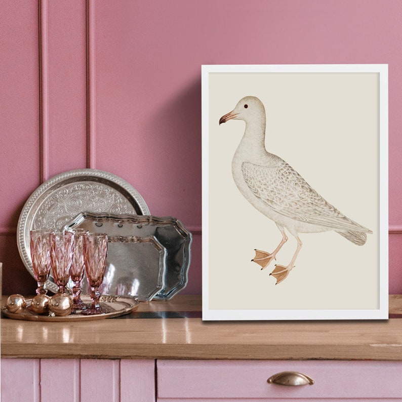 May include: A white framed print of a detailed illustration of a white seagull with a light brown beak and legs standing on a beige background.